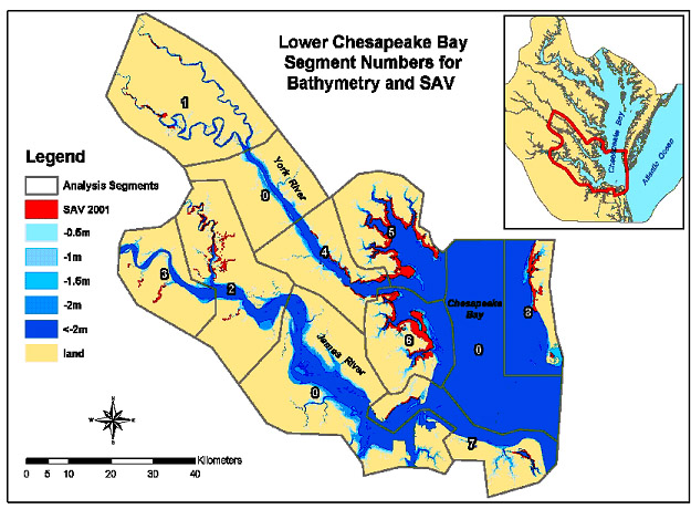 Bathymetry & SAV